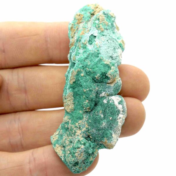 Dioptase with Chrysocolla Botryoidal Cluster 7cm 2