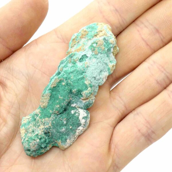 Dioptase with Chrysocolla Botryoidal Cluster 7cm 3
