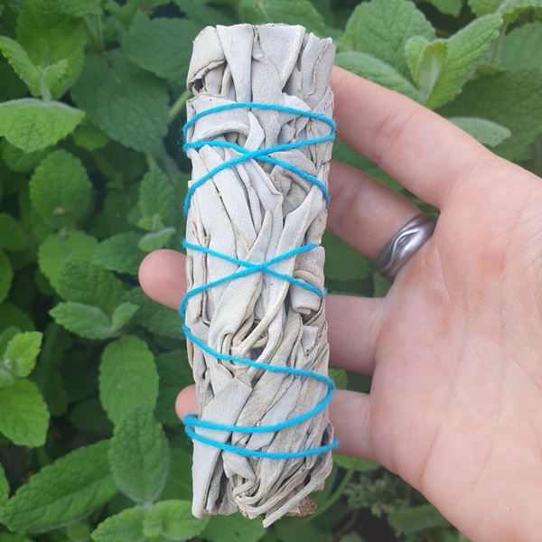 White Sage smudge stick 10cm