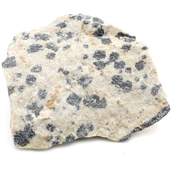 Dalmatian Stone Rough 10-20g 1