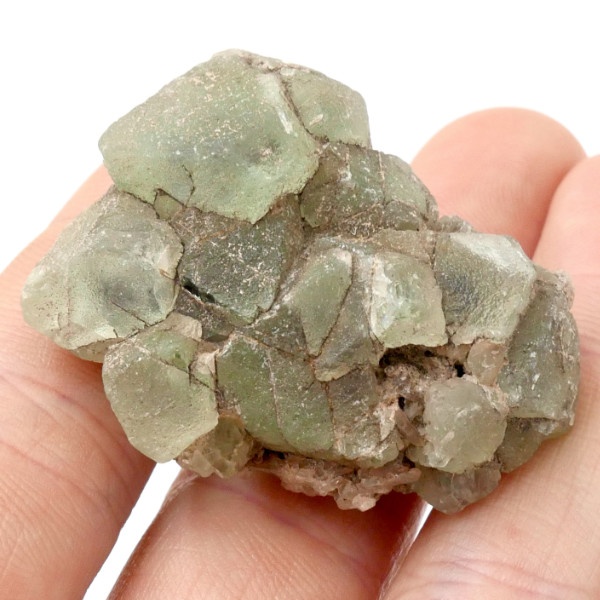 Fluorite, Green Frosted Cluster 4.5 2 SP04 12