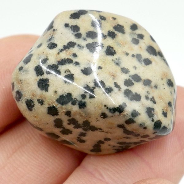 Dalmatian Stone Tumbled Stone L 2