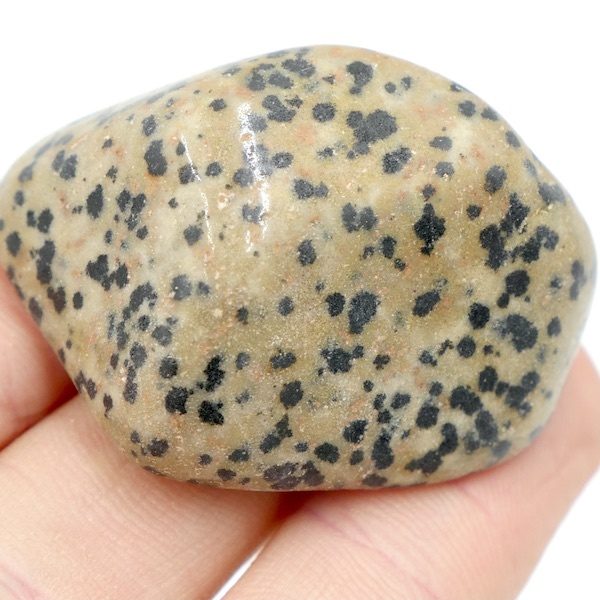 Dalmatian Stone Tumbled Stone XL 2