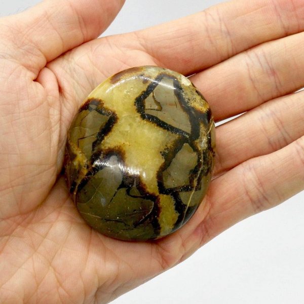 Septerye Dragonstone Gallet Palm Stone 60-100g
