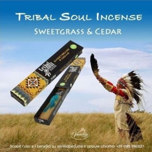 Tribal Soul Sweetgrass and cedar incense 2